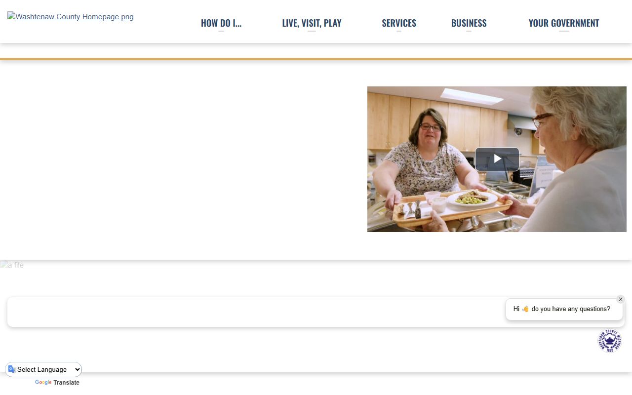 Washtenaw County homepage used to access Washtenaw County family court records