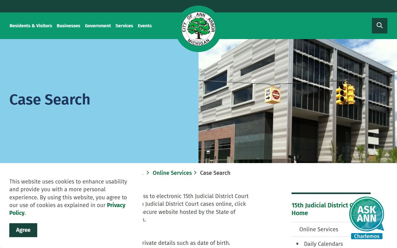 Ann Arbor case search showing Michigan family court records access options